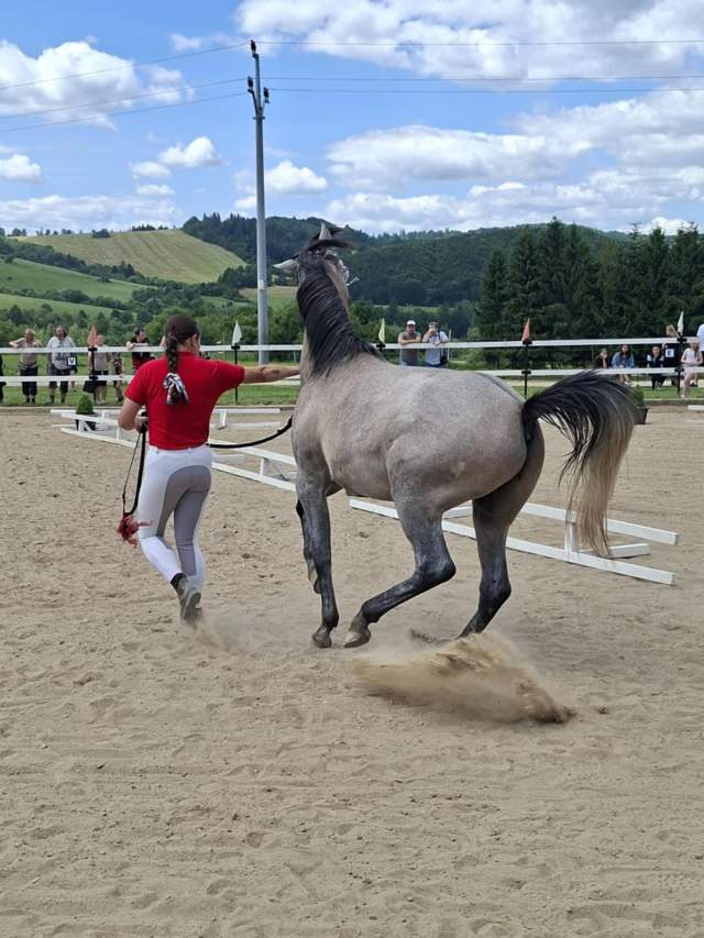 73b6ffc6-0d1f-49db-9872-af2bcf577f23